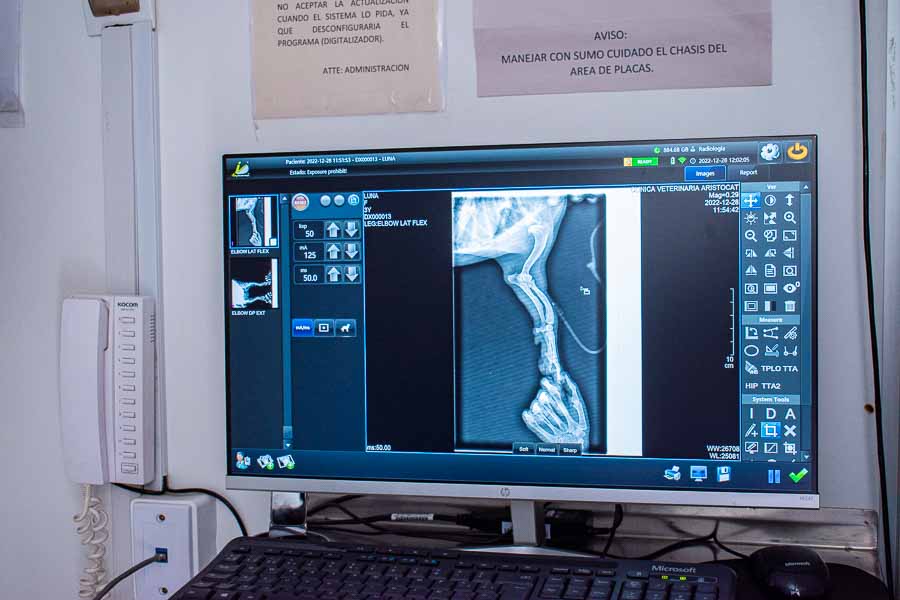 foto-clinica-veterinaria-los-olivos-san-juan-lurigancho-puente-piedra (144)