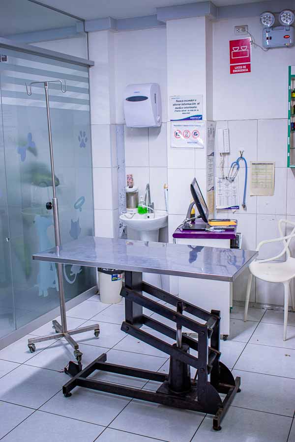 foto-clinica-veterinaria-los-olivos-san-juan-lurigancho-puente-piedra (150)