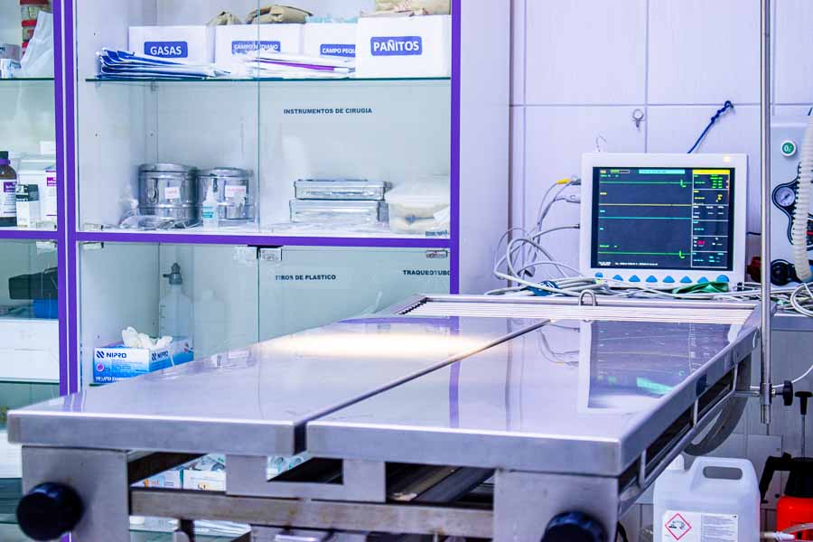 foto-clinica-veterinaria-los-olivos-san-juan-lurigancho-puente-piedra (175)