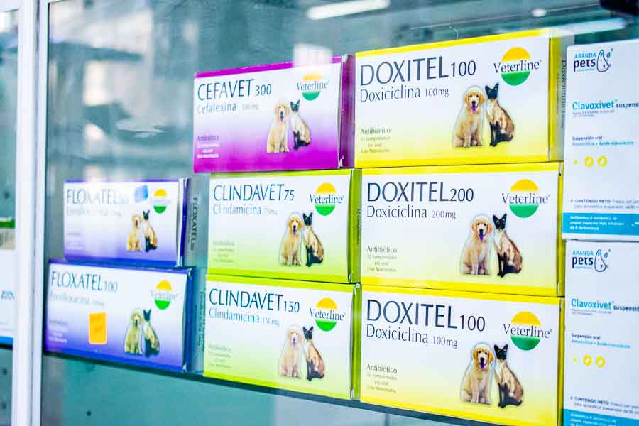 foto-clinica-veterinaria-los-olivos-san-juan-lurigancho-puente-piedra (220)