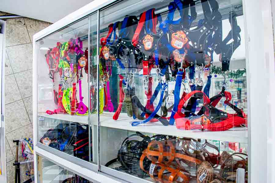 foto-clinica-veterinaria-los-olivos-san-juan-lurigancho-puente-piedra (307)