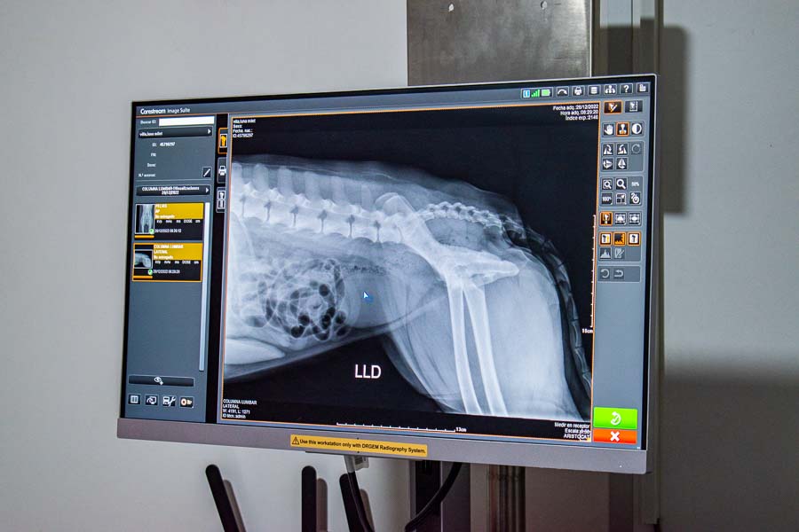 foto-clinica-veterinaria-los-olivos-san-juan-lurigancho-puente-piedra (6)