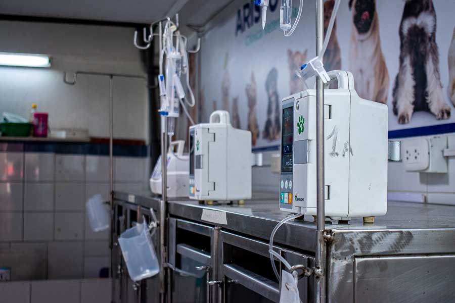 foto-clinica-veterinaria-los-olivos-san-juan-lurigancho-puente-piedra (76)