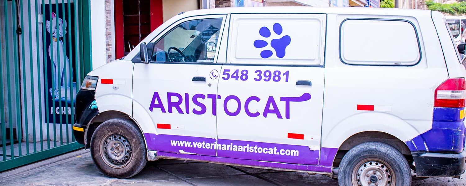 banner-clinica-veterinaria-los-olivos-san-juan-lurigancho-puente-piedra_0004_comidacomida-11