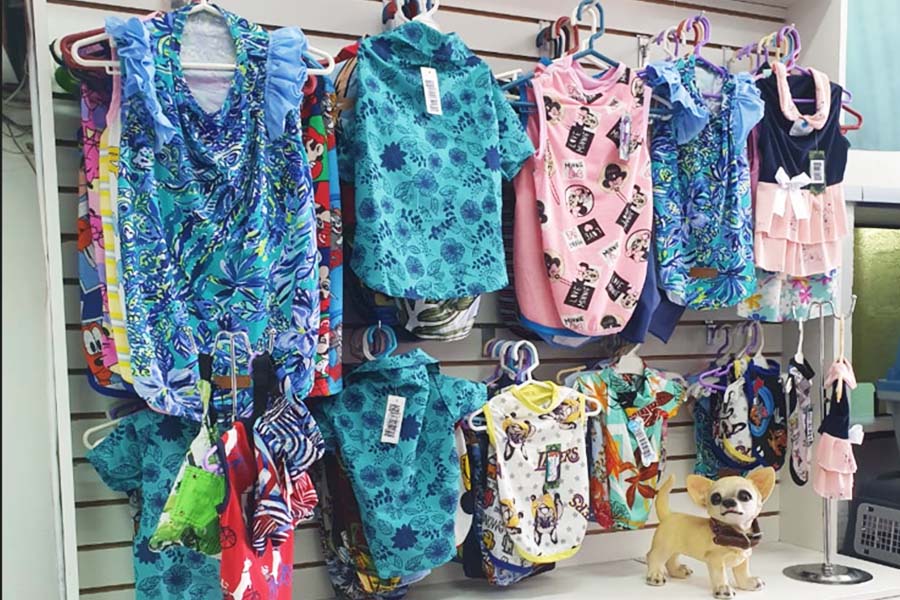 fotos1sss_0006_image46