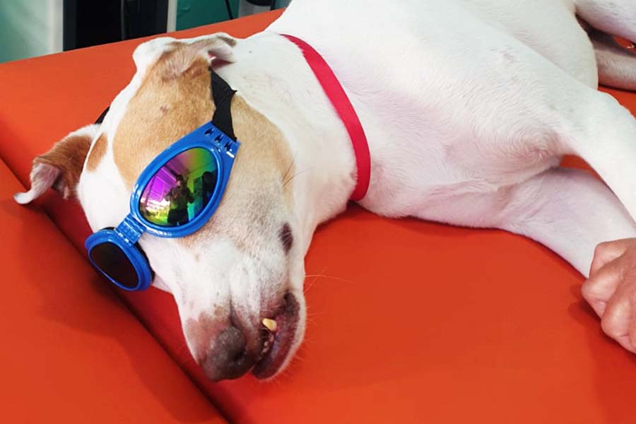 fotos1sss_0008_WhatsApp Image 2023-03-24 at 1.32