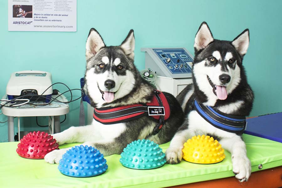 fotos1sss_0009_WhatsApp Image 2023-03-24 at 1.30