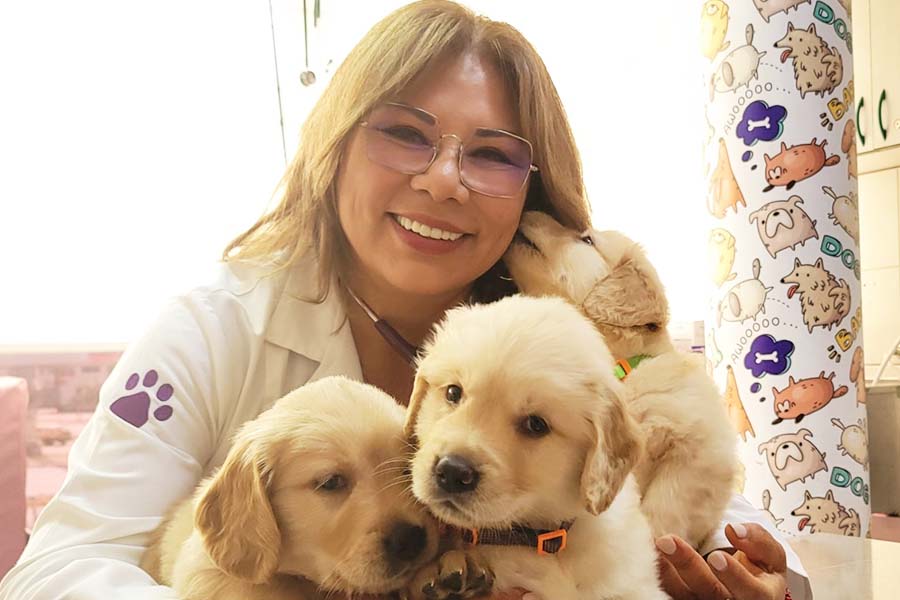 fotos1sss_0014_Copia de Copia de WhatsApp Image 2020-12-10 at 09.55