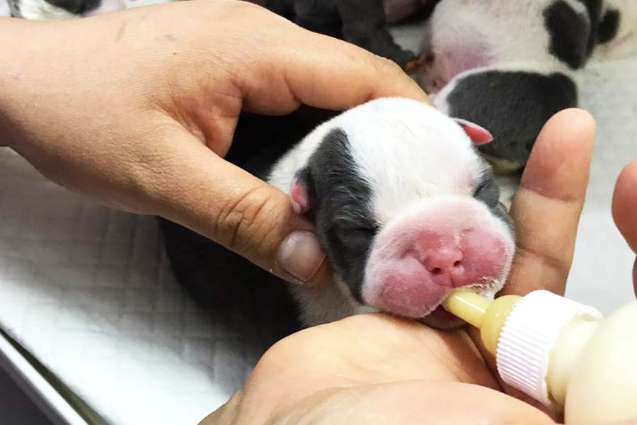 fotos1sss_0018_124258241_10158961787109171_8232744276252848448_n