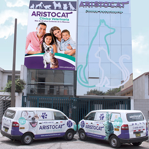 nuevas_0000_WhatsApp Image 2023-03-24 at 11.19