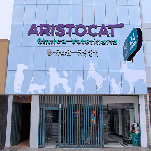 nuevas_0002_WhatsApp Image 2023-03-24 at 11.19