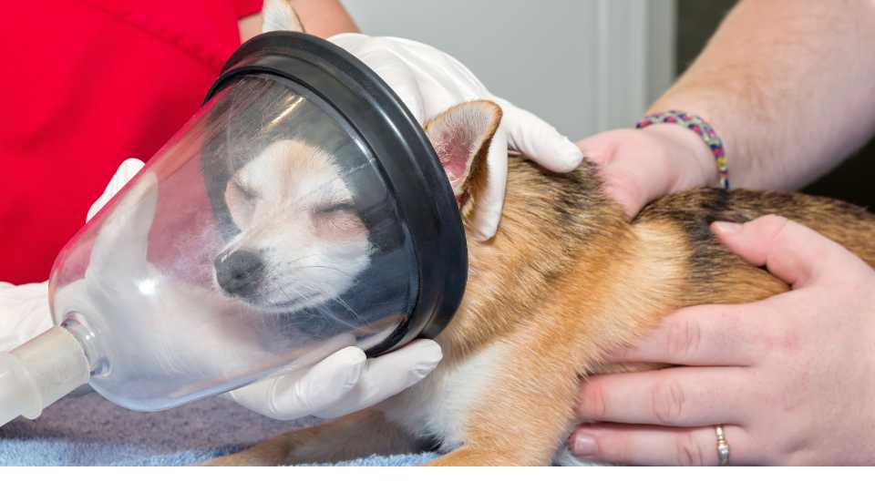 Propuesta Estratégica