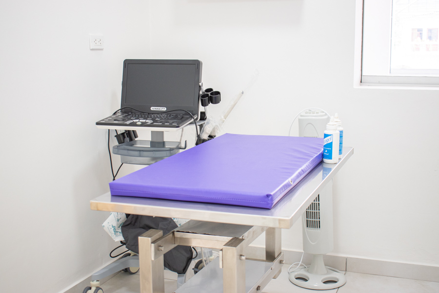 foto-clinica-veterinaria-los-olivos-san-juan-lurigancho-puente-piedra-jesus-maria-17