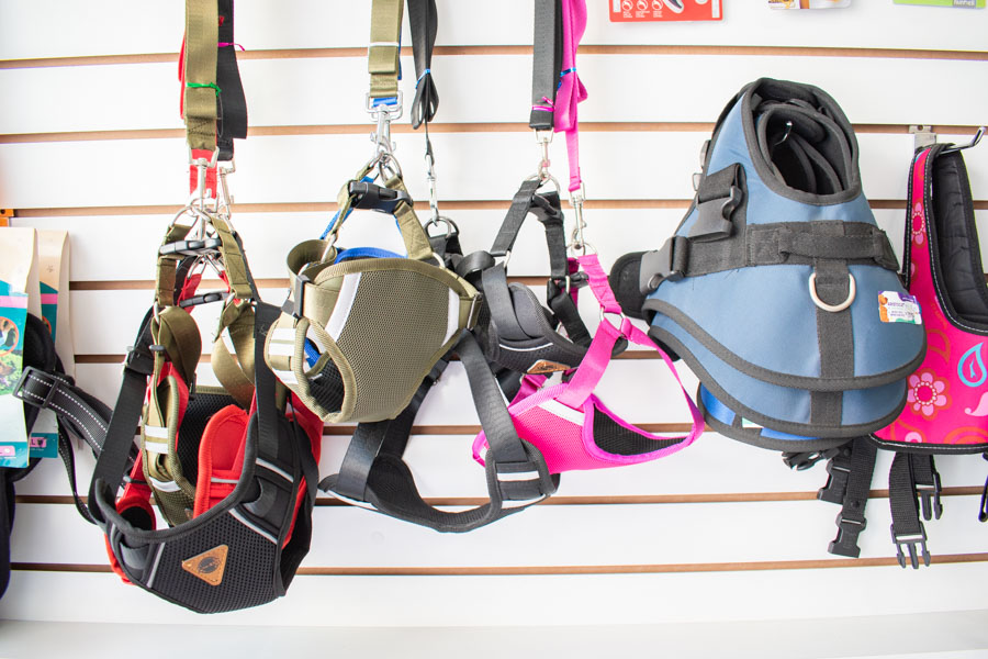 foto-clinica-veterinaria-los-olivos-san-juan-lurigancho-puente-piedra-jesus-maria-3