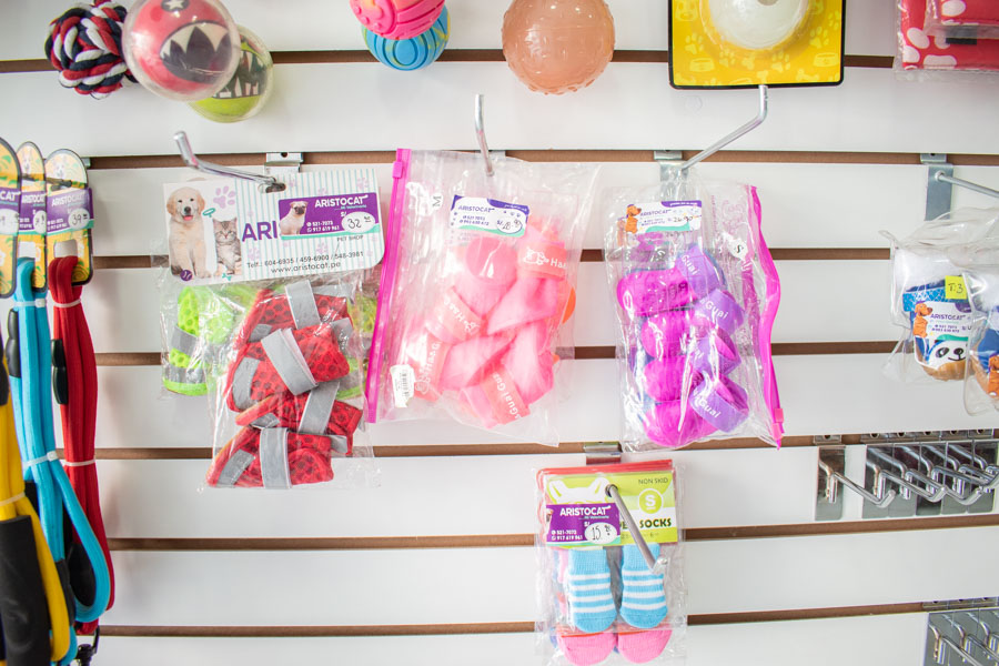 foto-clinica-veterinaria-los-olivos-san-juan-lurigancho-puente-piedra-jesus-maria-4