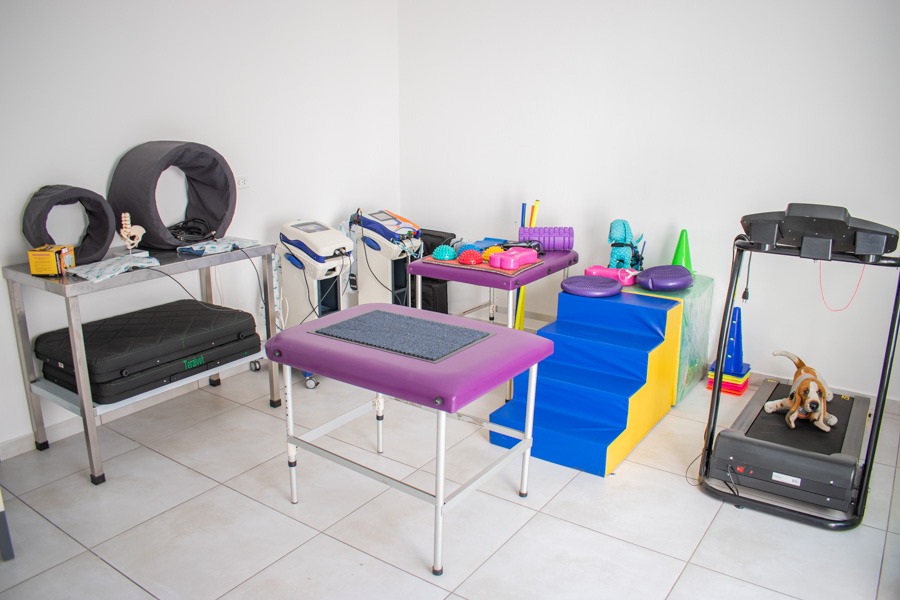 foto-clinica-veterinaria-los-olivos-san-juan-lurigancho-puente-piedra-jesus-maria-5