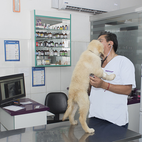 18 consultas especializadas