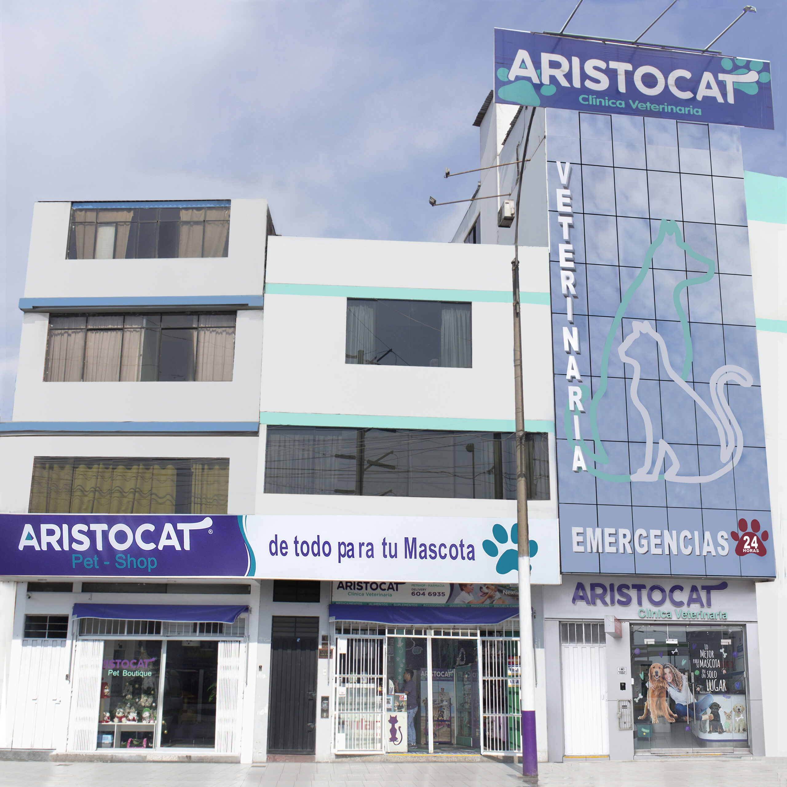 sede olivos 2019 ultim0